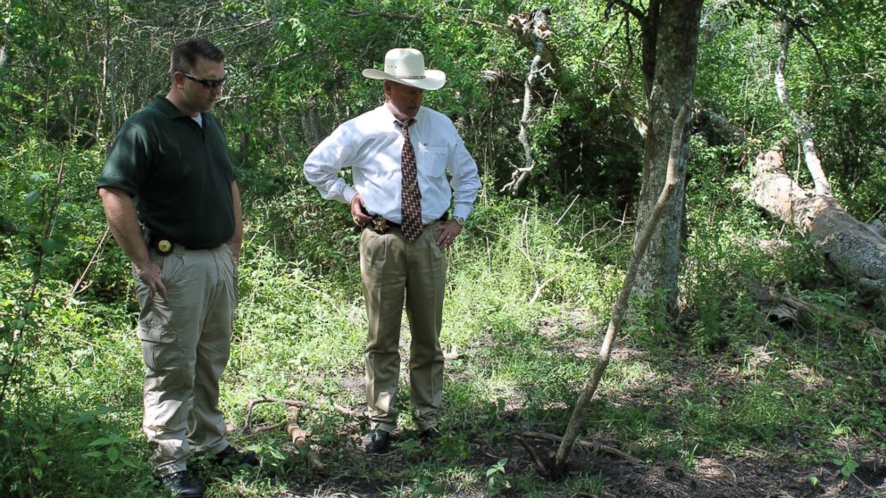 PHOTO: Caption: Chambers County Sheriff Brian Hawthorne (right) arrives at what appears to be one of the nursery areas for the marijuana plant seedlings or baby plants.