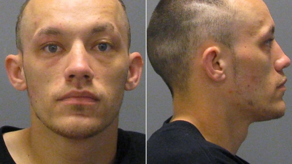 Nicholas Steven Wig from South St. Paul, Minn. is pictured in a booking photo from the Dakota County Jail made on June 19, 2014.