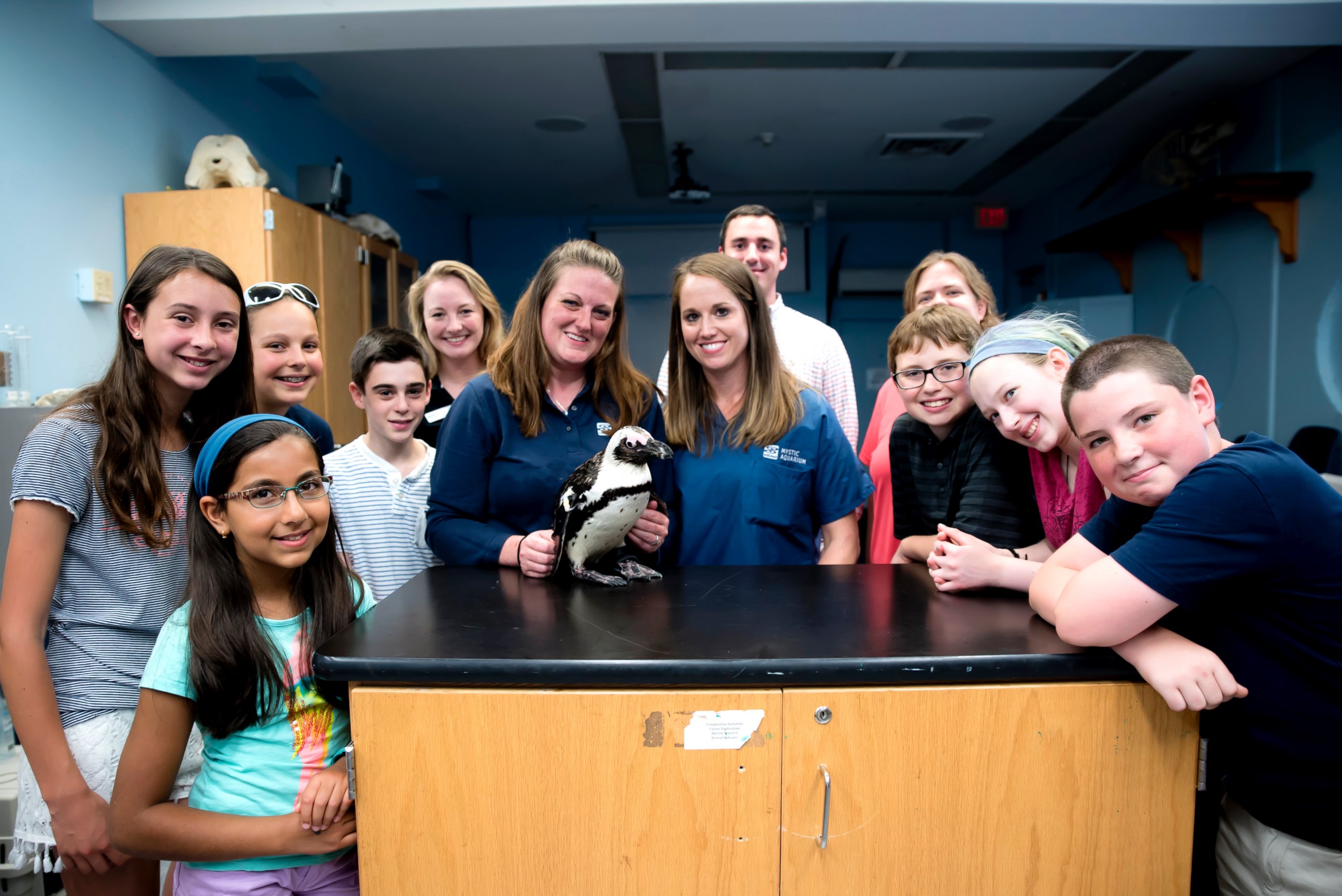 PHOTO: The veterinary team from Mystic Aquarium collaborated with students from Mystic Middle School and staff from ACT Group to create Purps' new boot.