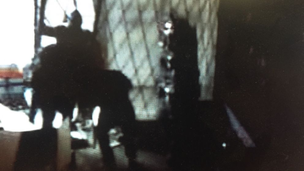 PHOTO: Surveillance video caught four individuals slamming a Honda Accord into a Petaluma, California, gun shop Saturday. They stole "numerous firearms," according to local police