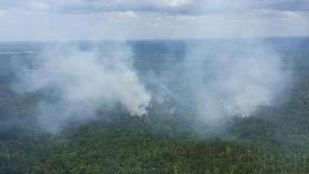 PHOTO: Smoke rises above the trees north of Charleston, S.C. near the site where the FAA says a military fighter jet crashed into a Cessna on July 7, 2015.