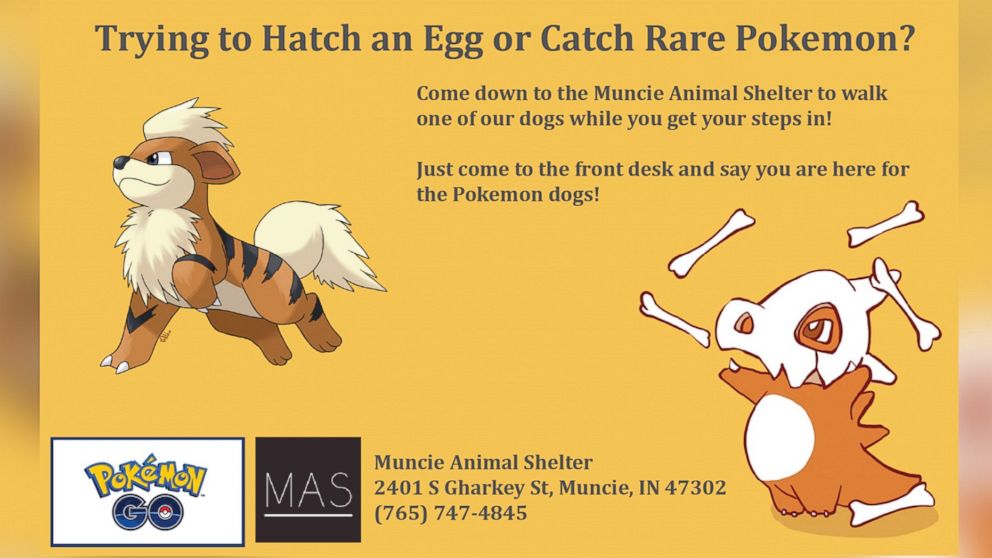PHOTO: The Muncie Animal Shelter started a volunteer program on July 12, 2016, calling for Pokemon Go players to help walk the shelter's dogs. 