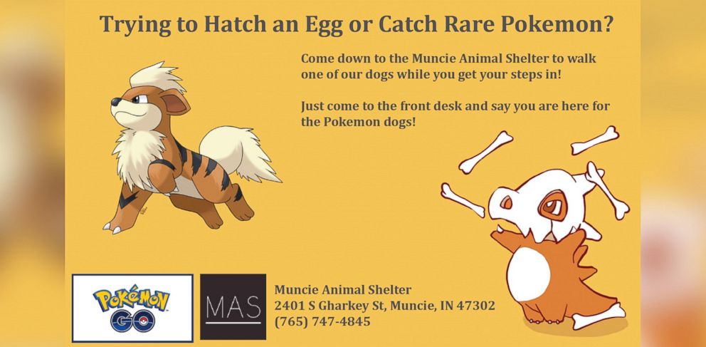 PHOTO: The Muncie Animal Shelter started a volunteer program on July 12, 2016, calling for Pokemon Go players to help walk the shelter's dogs. 
