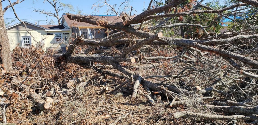 Rex Clark said he and his wife lost several trees and their home was destroyed during Hurricane Michael in Oct. 2018. 