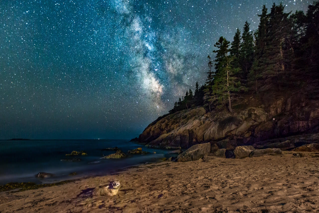 PHOTO: Stephen Ippolito captured a rare moment as a seal poses amidst the Milky Way. 