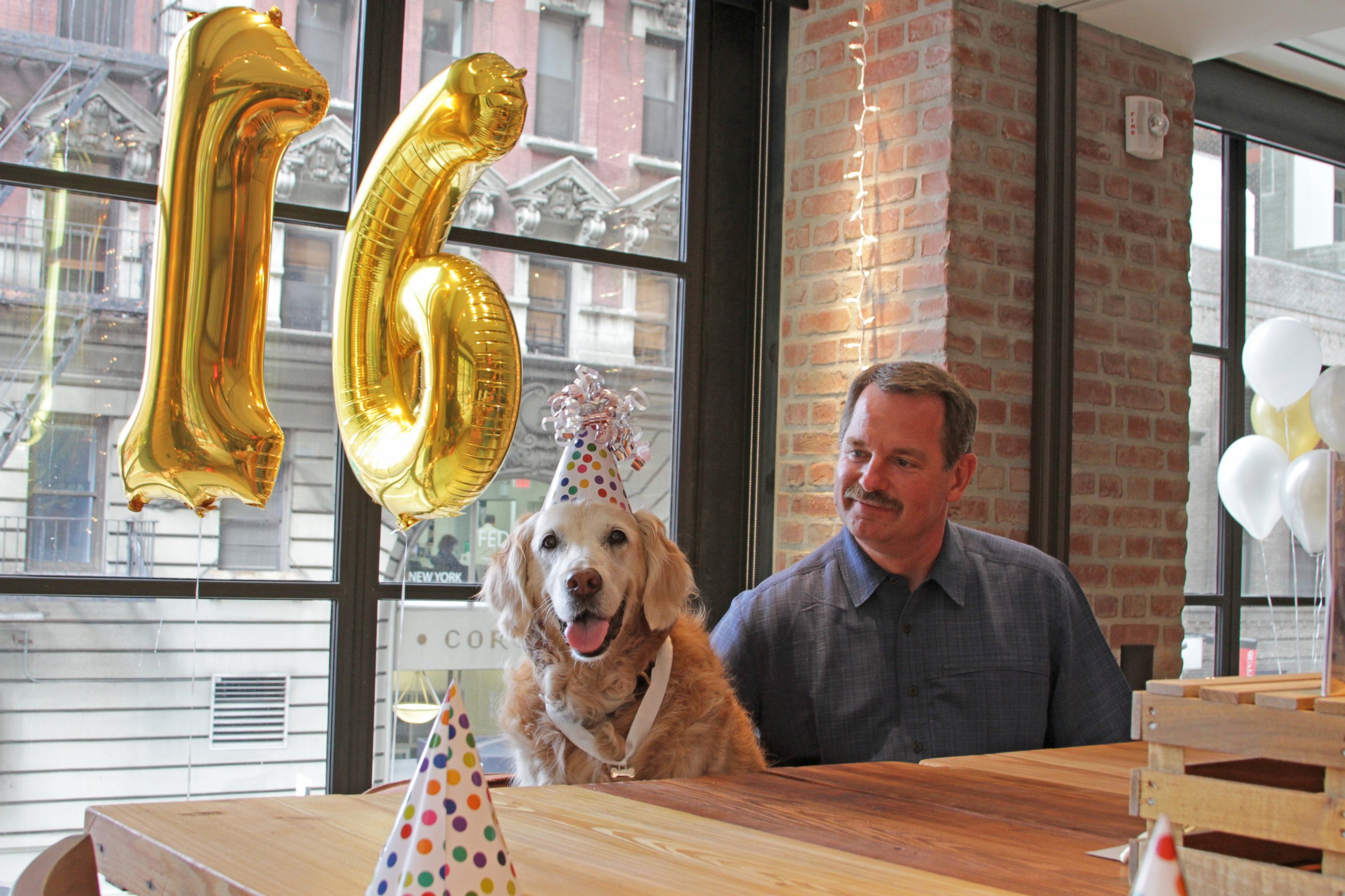 PHOTO: Bretagne, the last known living 9/11 search-and-rescue dog, was honored for her service and given a 16th birthday celebration on Sept. 4, 2015. 