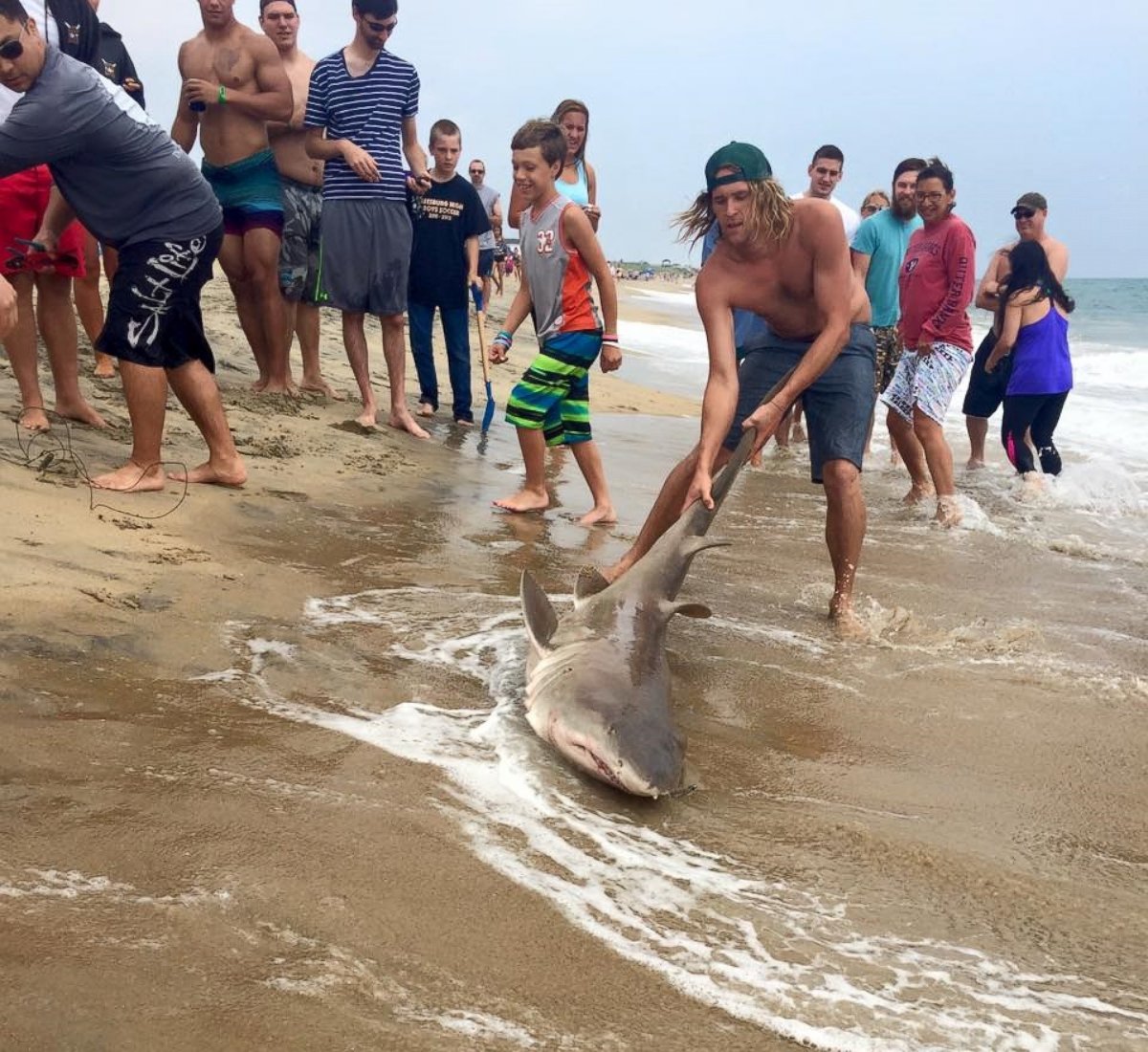 PHOTO: A man pulled a shark out of the water in Kill Devil Hills, North Carolina, on July 3, 2015.