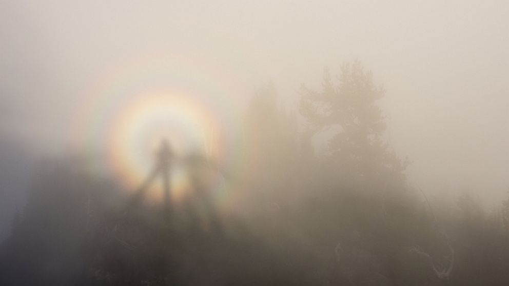 Hikers Capture Photo of Rare Optical Illusion on Mount Rainier - ABC News
