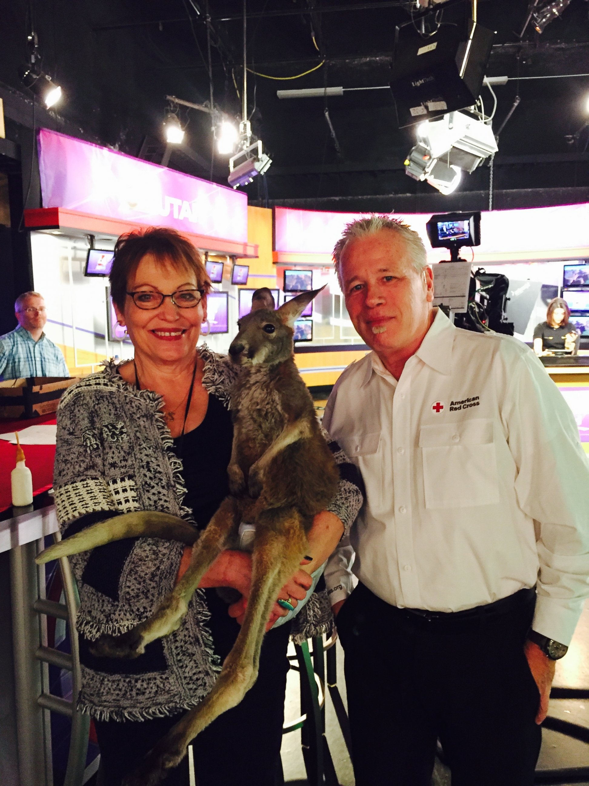 PHOTO: Charlie, the therapy kangaroo featured on local ABC Channel 4 in Salt Lake City, Utah. 