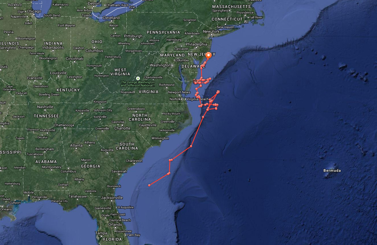 PHOTO: A map published by Ocearch shows the course of a great white shark named Mary Lee from off of the Georgia coast in April to the New Jersey coast in May, 2015.