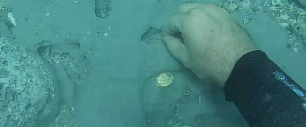 Gold Underwater Porn - Florida Sunken Treasure Discovery From 1715 Shipwreck Valued ...