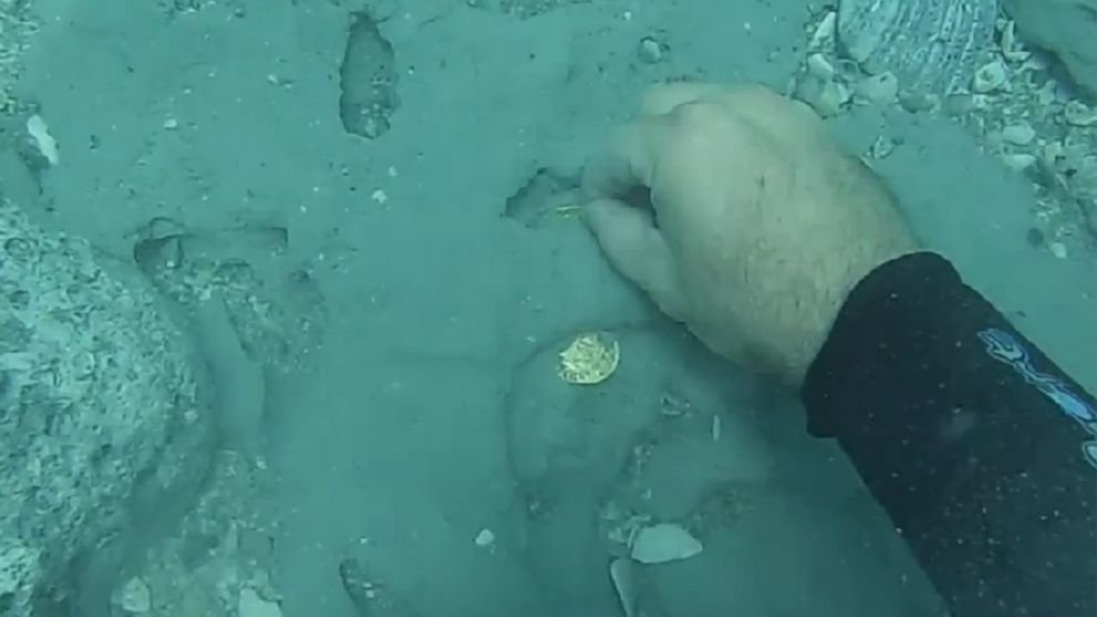 Florida Sunken Treasure Discovery From 1715 Shipwreck Valued at Over $1