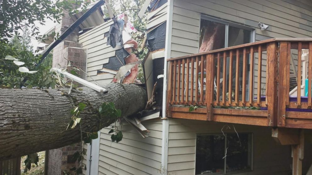 PHOTO: A tree fell on a house in Snohomish County, Wash.