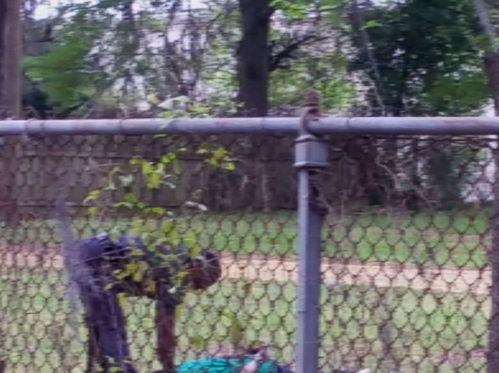 PHOTO: A sequence of images made from a bystander video shows Officer Michael Slager pursuing and then shooting Walter Scott in North Charleston, S.C. on April 4, 2015. Note: This image has been rotated 90-degrees from the source video.