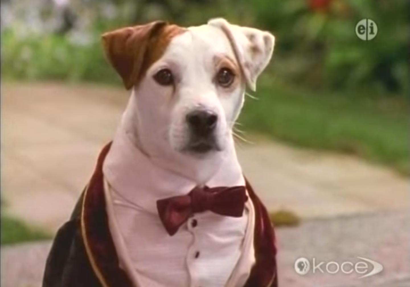 PHOTO: Wishbone appears in this screen grab from Wishbone's Season 1 Episode 23 "Bark to the Future."