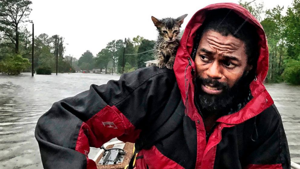 PHOTO: Robert Simmons Jr. and his kitten "Survivor" are rescued from floodwaters after Hurricane Florence dumped several inches of rain in the area overnight, Sept. 14, 2018 in New Bern, N.C.