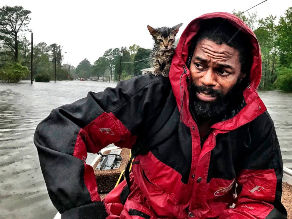 PHOTO: Robert Simmons Jr. and his kitten Survivor are saved from the floods after Hurricane Florence dumped several inches of rain in the area during the night of September 14, 2018 in New Bern, N.C.