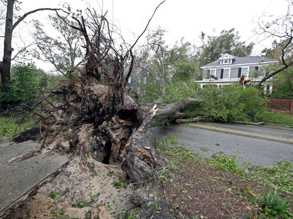 PHOTO: A tree uprooted by strong winds lies across a street in Wilmington, N.C., after Hurricane Florence made landfall, Sept. 14, 2018.