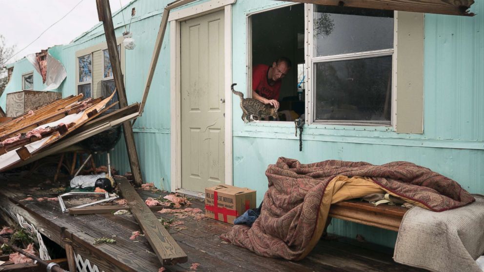 PHOTO: Sam Speights pauses to pet a kitten as he removes some possessions from his home in the aftermath of Hurricane Harvey in Rockport, Texas, Aug. 28, 2017.