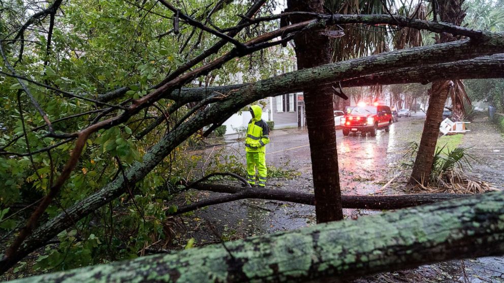 PHOTO: A firefighter examines a large tree across a road as the effects from Hurricane Ian are felt, Sept. 30, 2022, in Charleston, S.C.