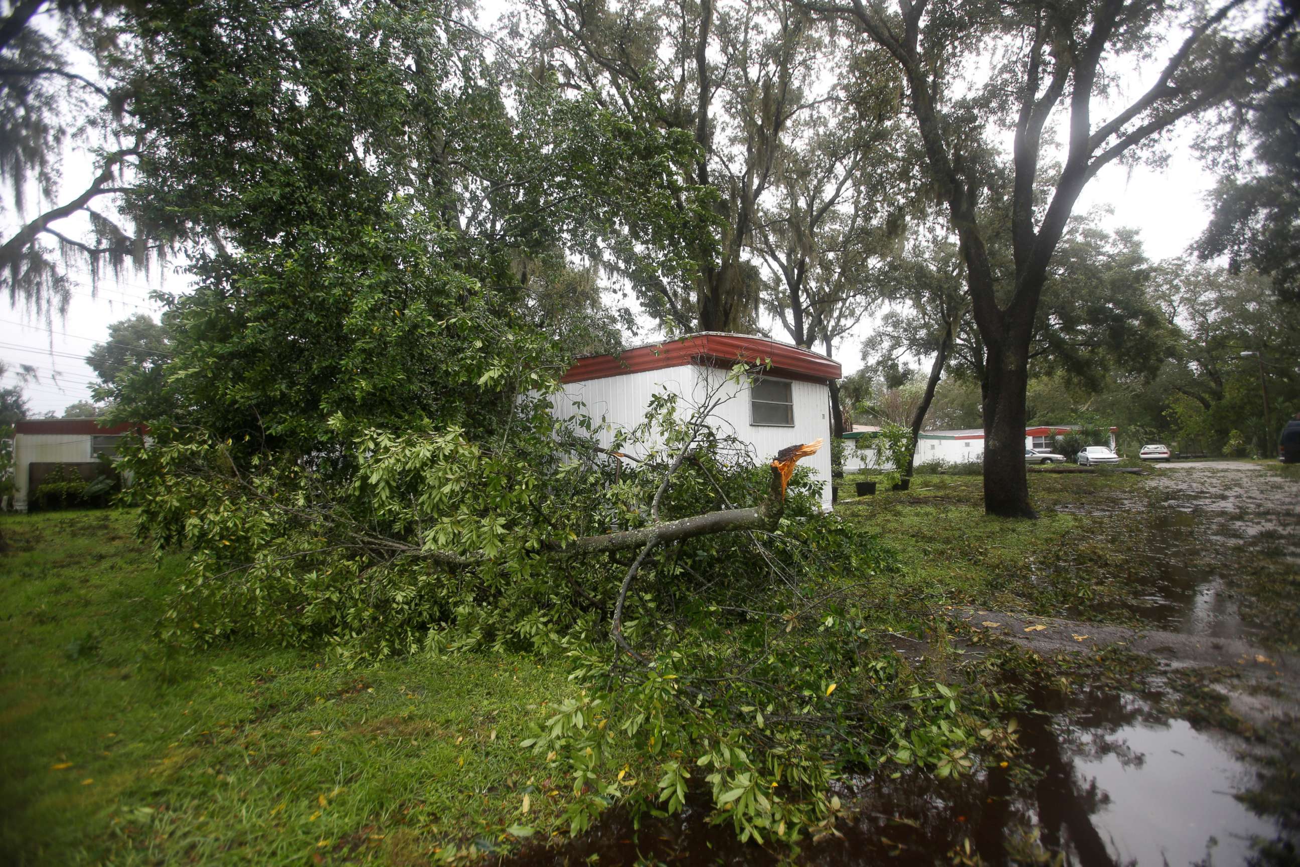 PHOTO: A fallen branch lays beside a mobile home after Hurricane Irma made landfall in Tampa, Fla., Sept. 11, 2017.