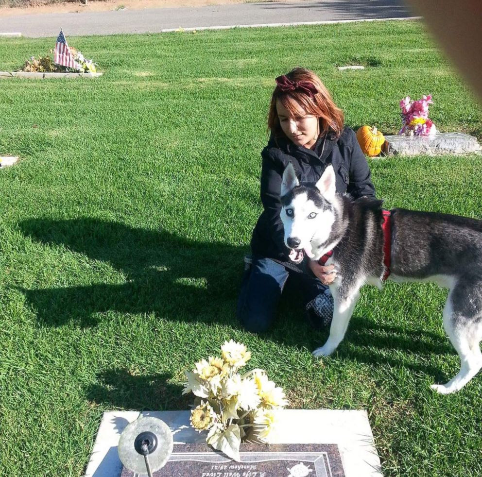 PHOTO: Kameroun Mares husky dog Semper Fidelis is seen here in an undated photo. The two were recently reunited after the dog was stolen and sold illegally, despite being microchipped and registered.