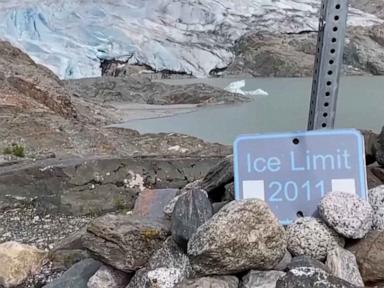 WATCH:  Glaciers on Alaskan ice field melting at 'incredibly worrying' pace, study finds