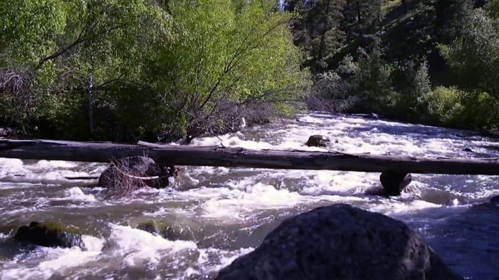 Idaho cobalt mining that devastated local water revisited with greener ...