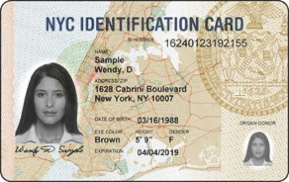 PHOTO: New York Identification Card is pictured in this undated photo.