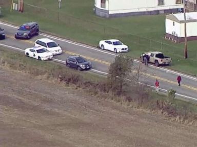 3 children killed at school bus stop