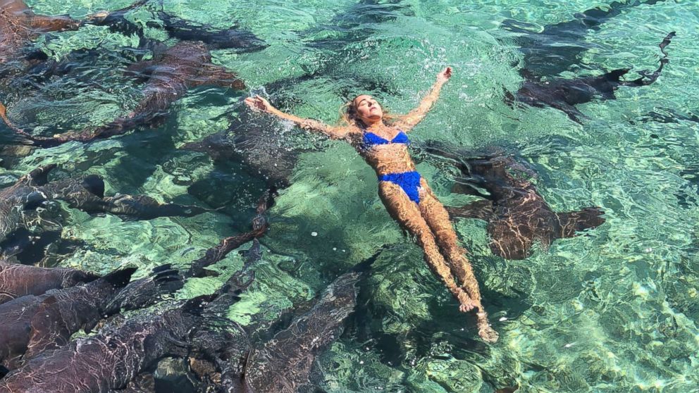 PHOTO: Katarina Zarutskie went swimming with nurse sharks in the Bahamas.