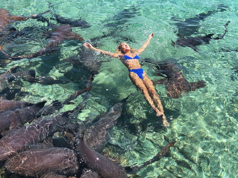 PHOTO: Katarina Zarutskie went swimming with nurse sharks in the Bahamas.