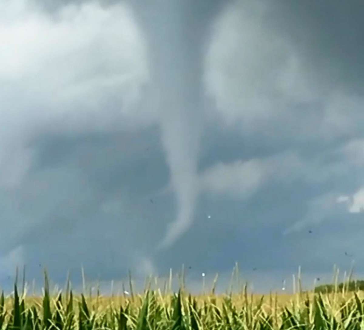 PHOTO: A video of a tornado in Iowa, July 19, 2018 was posted to Instagram.