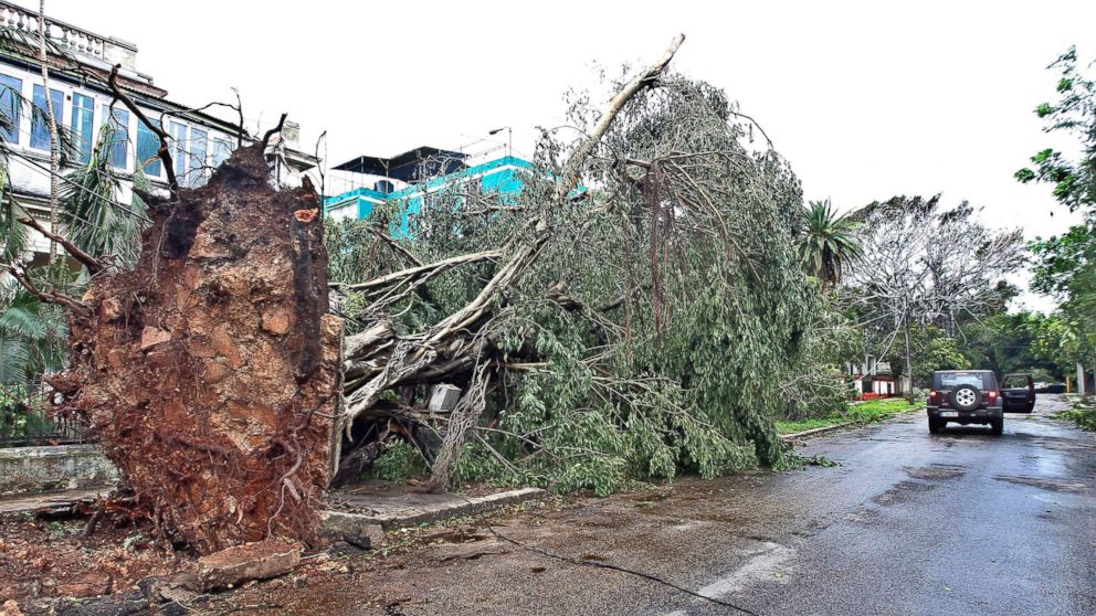 PHOTO: Fallen trees block houses after Hurricane Irma barreled into Cuba, Sept. 10, 2017 in Havana, Cuba.