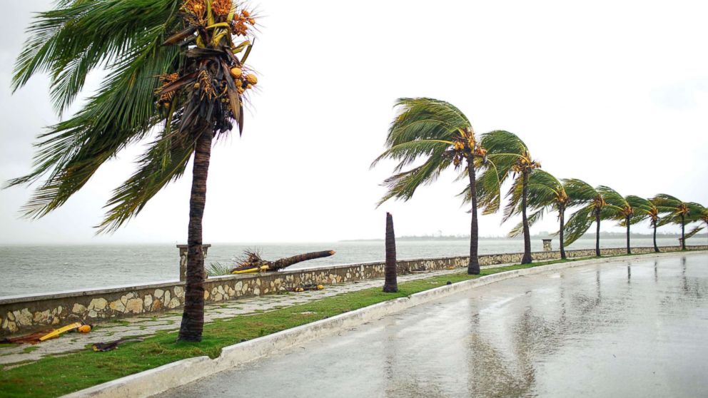 PHOTO: A broken palm tree is seen at the seafront of Caibarien after the passage of Hurricane Irma, Cuba, Sept. 9, 2017. 