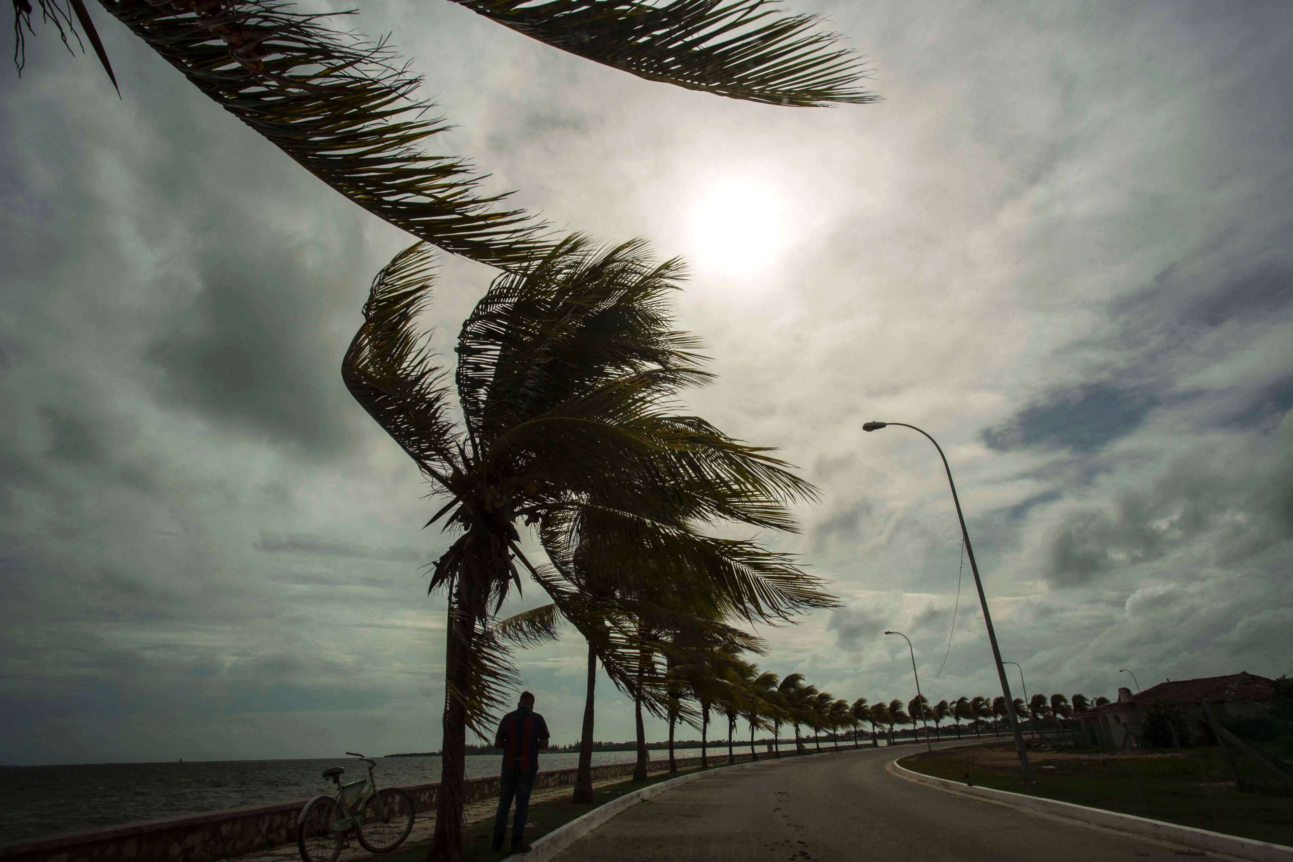 PHOTO: Winds brought by Hurricane Irma blow palm trees lining the seawall in Cuba, Sept. 8, 2017. 