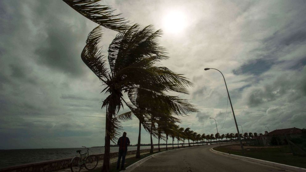 Winds brought by Hurricane Irma blow palm trees lining the seawall in Cuba, Sept. 8, 2017. 