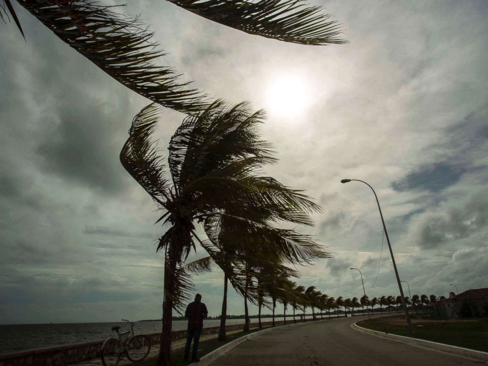 PHOTO: Winds brought by Hurricane Irma blow palm trees lining the seawall in Cuba, Sept. 8, 2017.