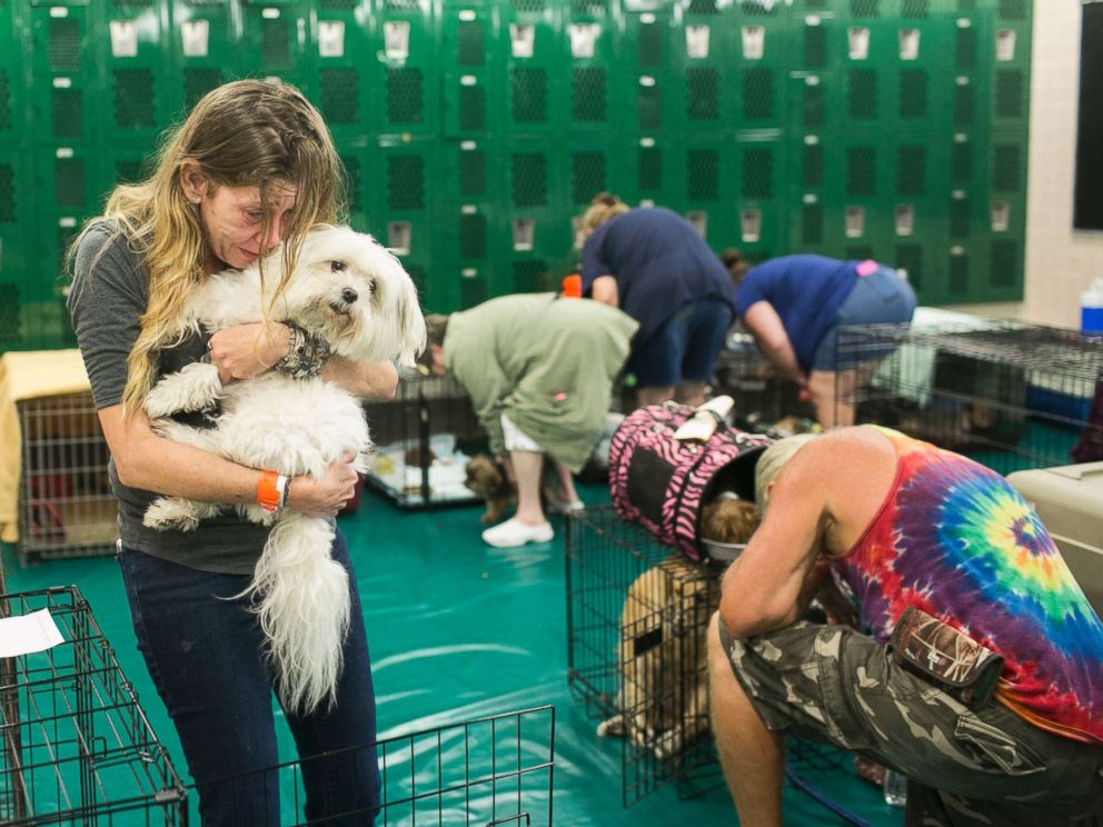 PHOTO: Samantha Belk says goodbye to her maltese, Gardolf until after the hurricane in a locker room at John Hopkins Middle School on Sunday, Sept. 10, 2017, in St. Petersburg, Fla.