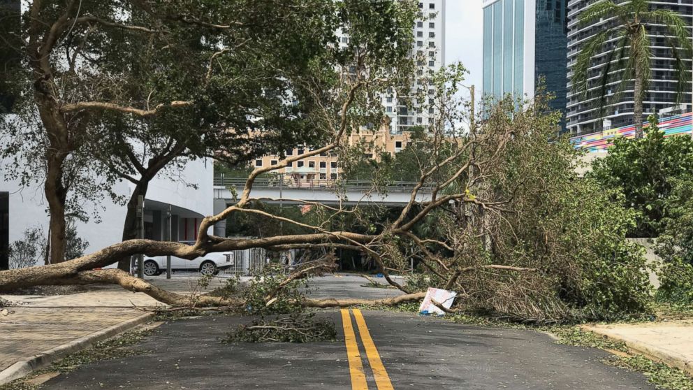PHOTO: Trees are down in the streets of Miami in the wake of Hurricane Irma, Sept. 11, 2017.
