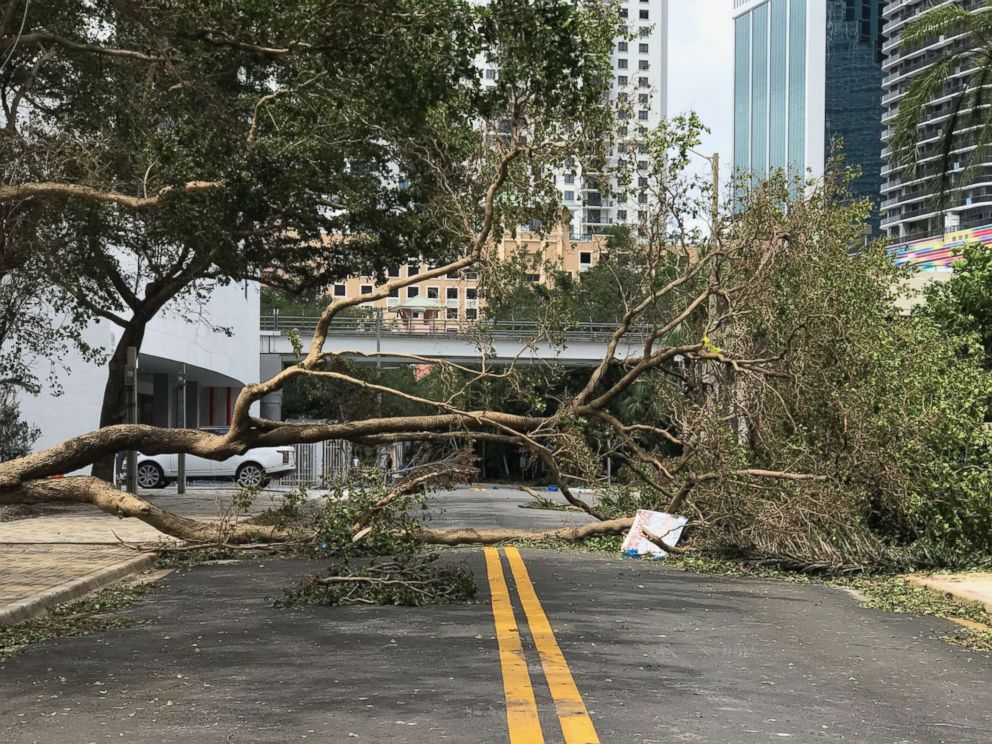 PHOTO: Trees are down in the streets of Miami in the wake of Hurricane Irma, Sept. 11, 2017.