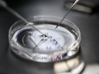 Couples allege IVF provider destroyed their embryos in toxic solution: Lawsuit