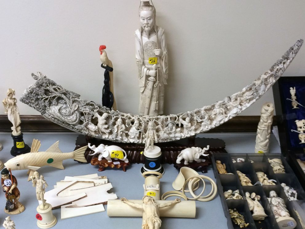 PHOTO: Illegal ivory confiscated by the New York State Department of Environmental Conservation is pictured, Aug. 3, 2017.