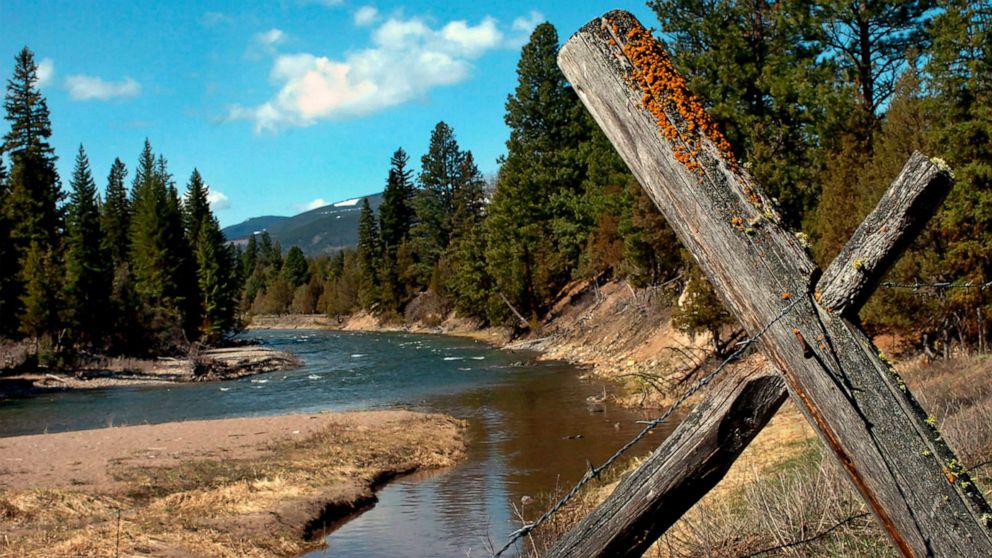 Authorities search for grizzly bear that killed bicyclist camping in Montana - ABC News