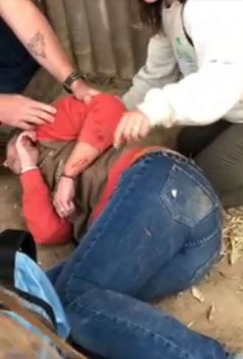 PHOTO: A woman was attacked by a jaguar at Wildlife World Zoo outside Phoenix when attempting to take a selfie on Saturday, March 9, 2019. She suffered a serious wound on her left arm.