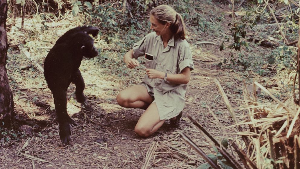 Jane Goodall