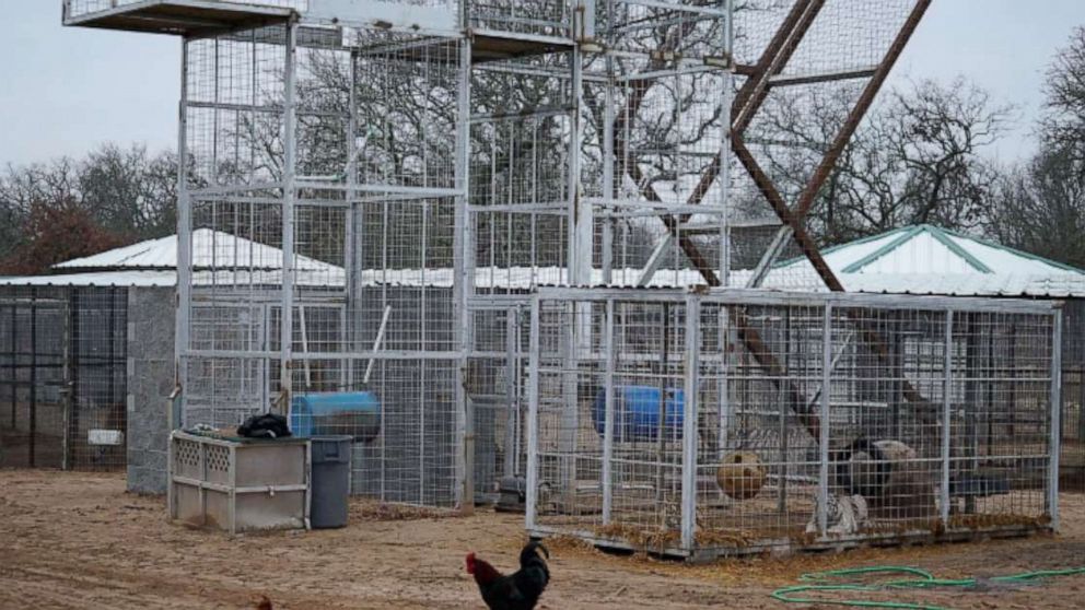 PHOTO: In this photo taken from a Department of Justice affadavit, some of the cages housing big cats on Jeffrey Lowe's property are shown.