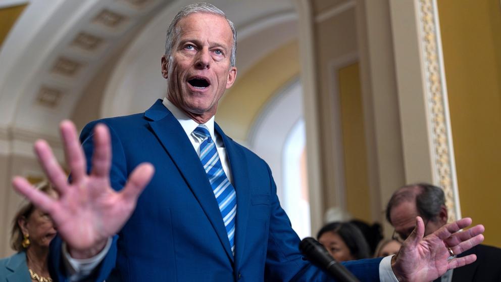 PHOTO: Senate Majority Leader John Thune speaks with reporters at the Capitol in Washington, Oct. 15, 2025.