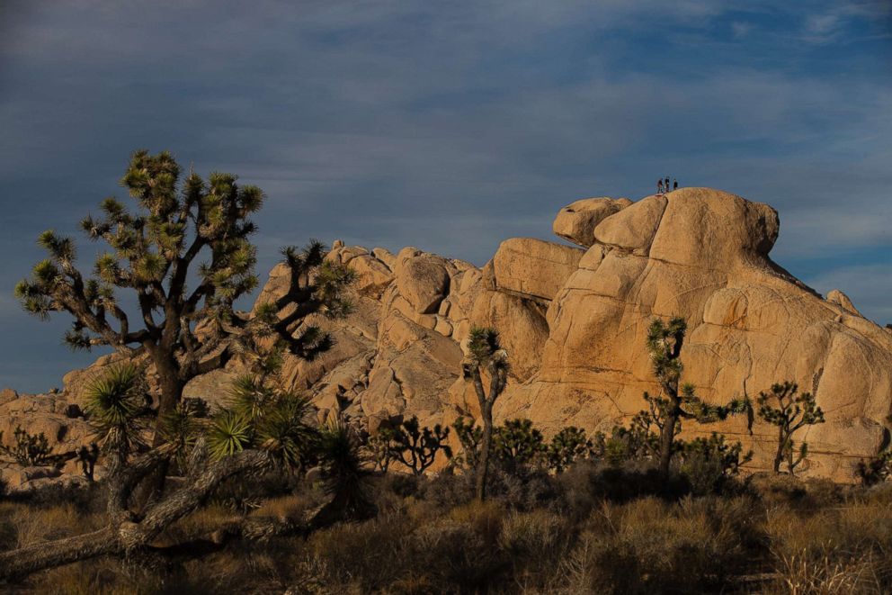 PHOTO: Rock climbers enjoy the scenery at Joshua Tree National Park on Jan. 8, 2019 in Joshua Tree, Calif.