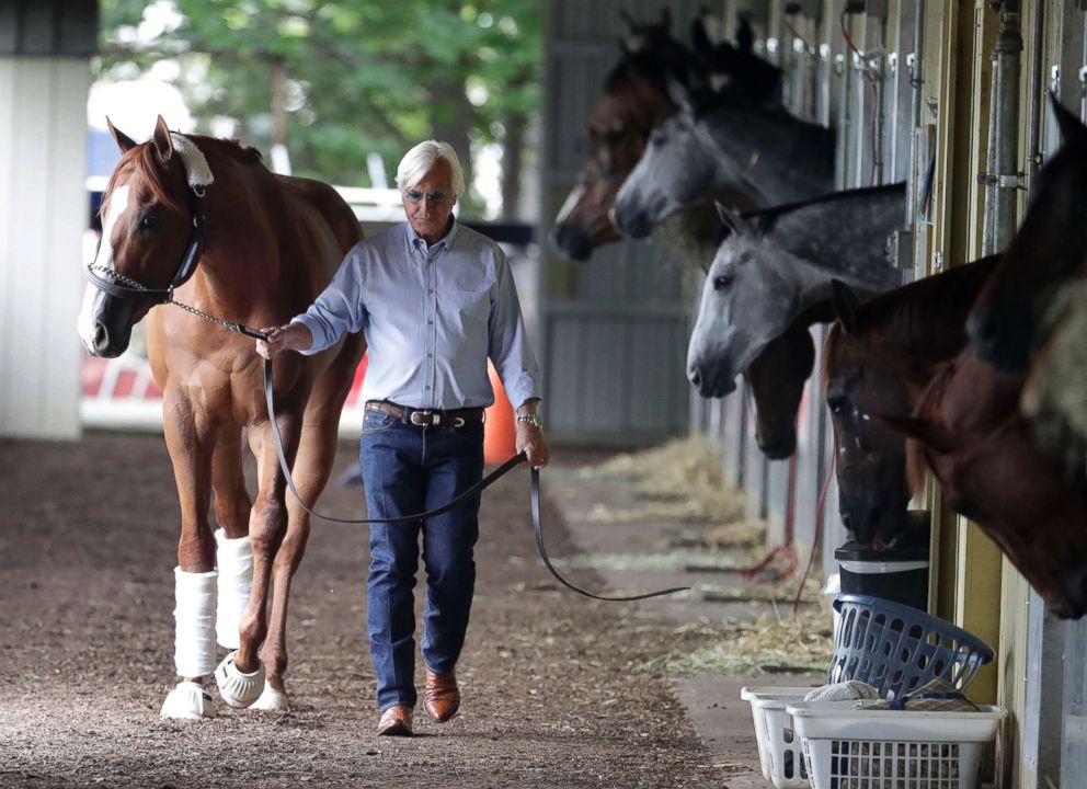 PHOTO: Trainer Bob Baffert walks Justify, after the Triple Crown hopeful arrived at Belmont Park in Elmont, N.Y., June 6, 2018. The 150th running of the Belmont Stakes horse race is on Saturday.